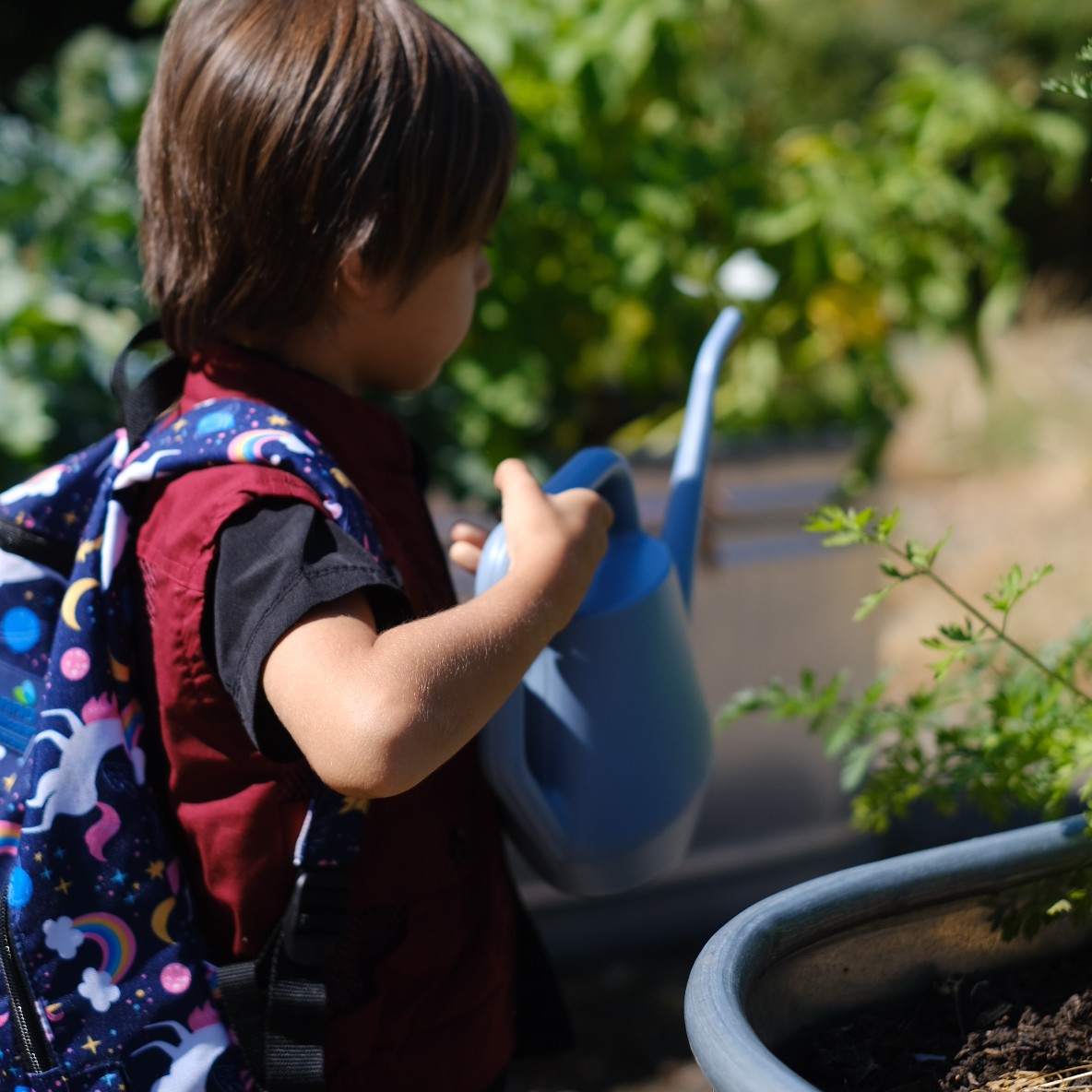 4B10A62C-62CB-4427-BA60-988A67DB846C- one kid with a watering can watering plants